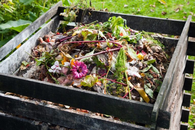 Lire la suite à propos de l’article Le compost, si on s’y mettait ?
